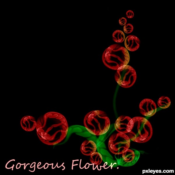 Creation of Gorgeous Flower: Final Result